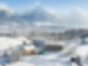 Ski-OK